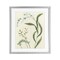 Stupell Industries Neutral Snowdrop Stems Framed Print Under Glass, design by June Erica Vess